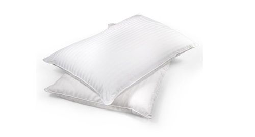 Bm12052 Queen Size Silk Filled Pillow