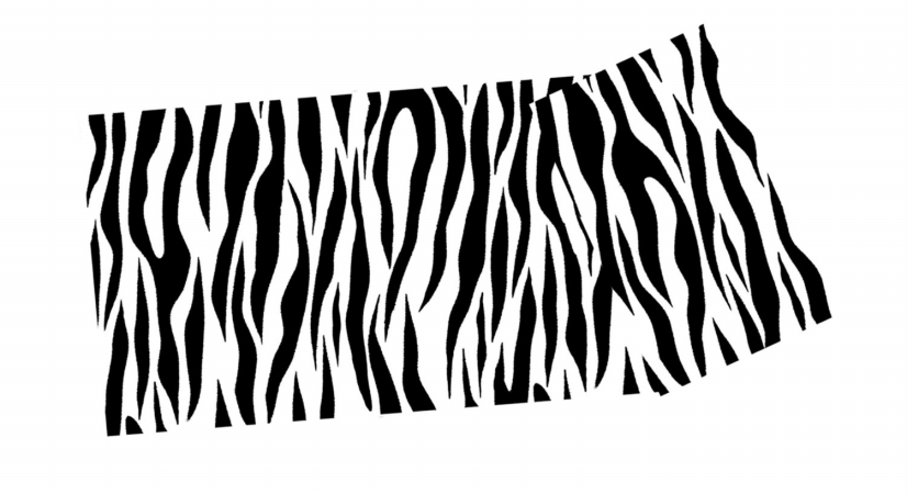 80-9002 Zebra Print Yoga Mat
