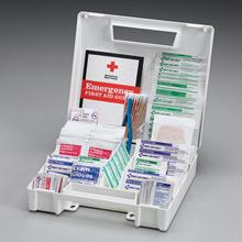 247 Piece Clean - Treat Protect Kit - Large Plastic Case - 1 Ea.