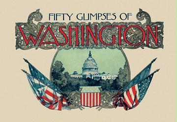 Glimpses of Washington D.C. 20x30 Poster