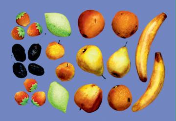 Painted Fruit 20x30 Poster