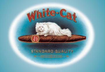 White-Cat Cigars 12x18 Giclee On Canvas