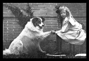 Girl Shaking Hands with Dog 12x18 Giclee On Canvas