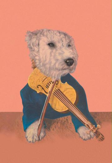 Dog with Violin 12x18 Giclee On Canvas