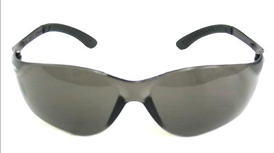 Radians T76-20C Remington T-76 Smoke Glasses