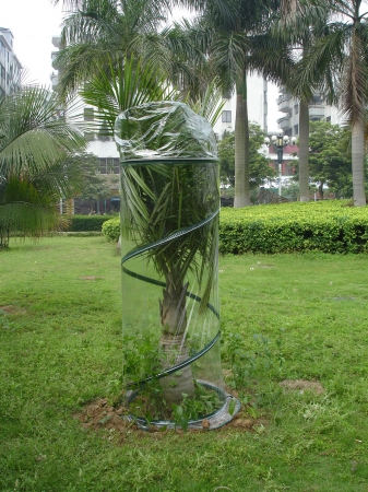 6-foot Portable Pop-up Greenhouse Protects Shrubs