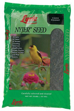 Grv2647427 Nyjer Seed
