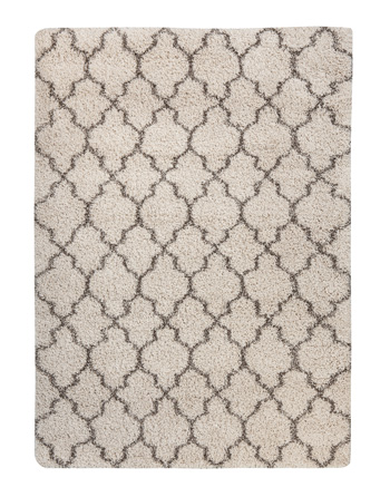 UPC 024052293005 product image for AshleyFurniture R401761 Gate Cream Large Rug | upcitemdb.com