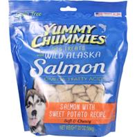 UPC 653417004217 product image for Arctic Paws 004048 Yummy Chummies Grain Free Dog Treats | upcitemdb.com