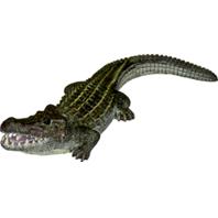 Blue Ribbon Pet Products 006070 Exotic Environments Bubbling Alligator