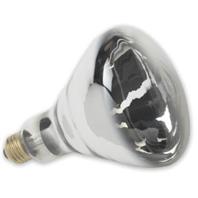 Havells-usa D 350864 250 Watt Heat Lamp Bulb, White