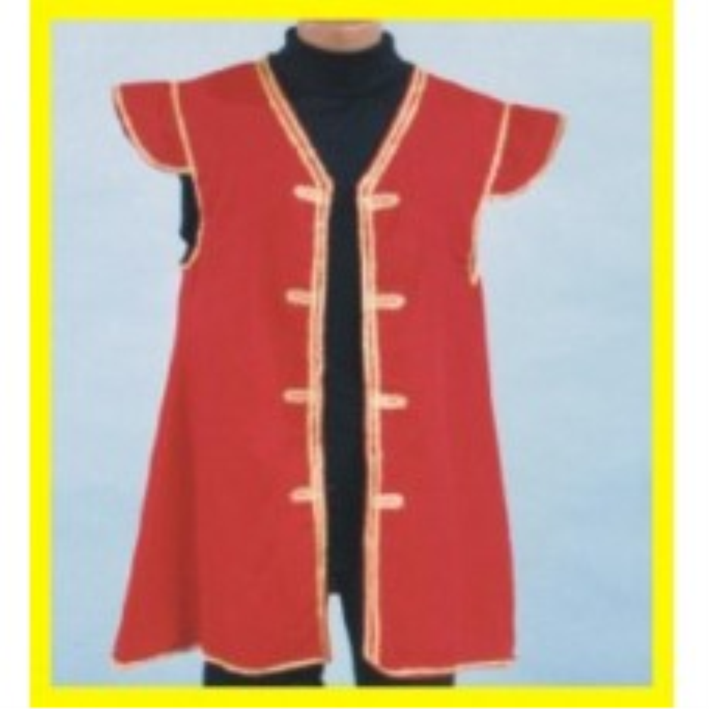 Alexander Costume Pirate Captain Vest Costume, Medium