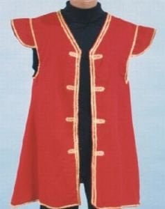 Alexander Costume 14-053 Pirate Captain Vest Costume, Large