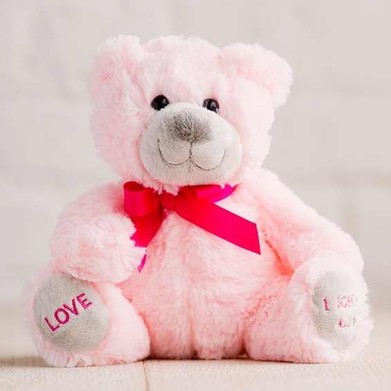 72692 Plush-hug For Your Heart Bear-love-pink - 9 In.