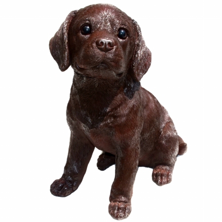 Fudge Chocolate Labrador Puppy, Large