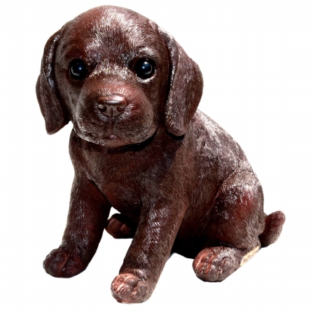 Fudge Chocolate Labrador Puppy, Small