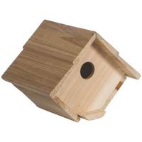 House Bird Cedar Wren 1639