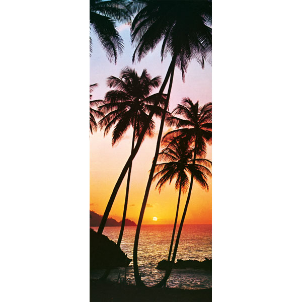 Dm529 Sunny Palms Wall Mural - 79 In.