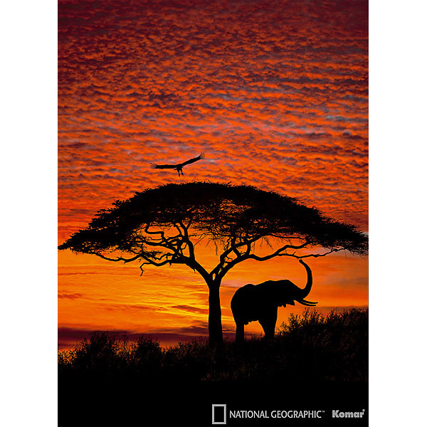 4-501 African Sunset Wall Mural - 106 In.