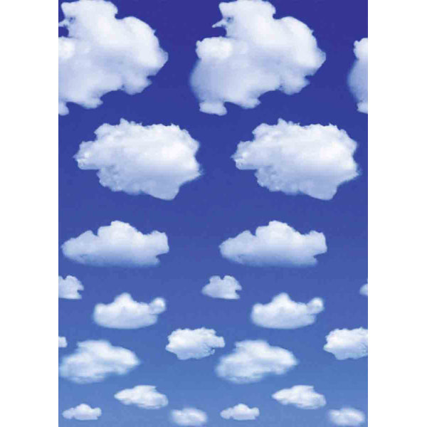 Dm402 White Clouds Wall Mural - 100 In.