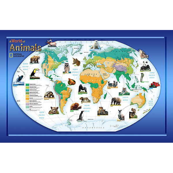 Animals Of The World Wall Mural - 48 In.