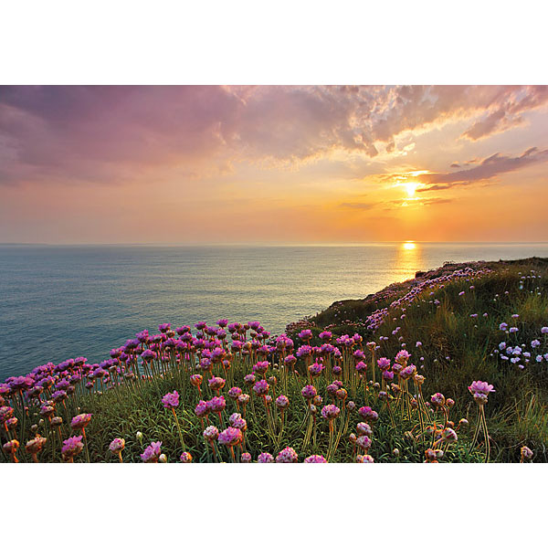 8-901 Lands End Wall Mural - 100 In.