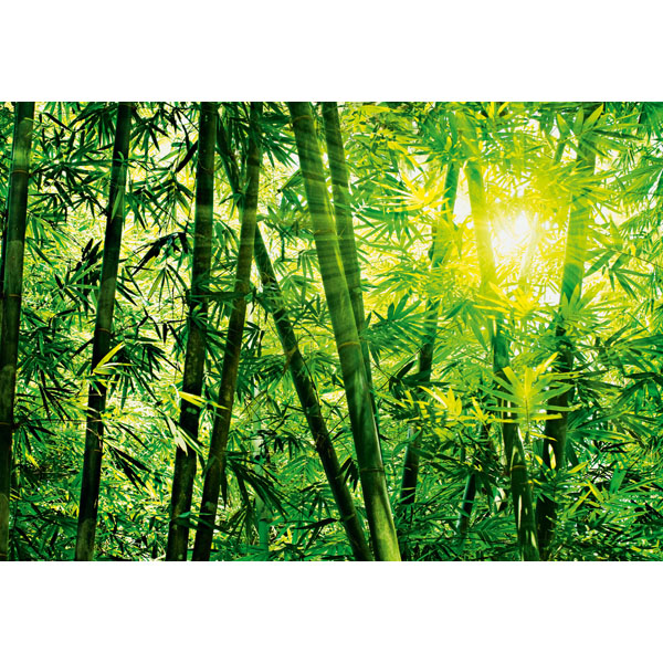 Dm123 Bamboo Forest Wall Mural - 100 In.