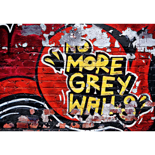 Dm126 No More Grey Walls Wall Mural - 100 In.