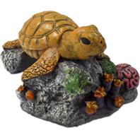 Blue Ribbon Pet Products-ee-365 Exotic Environments Sea Turtle