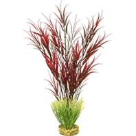 Blue Ribbon Pet Products-cb-2014-rd Colorburst Florals Water Harvest Plant Red