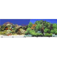 Blue Ribbon Pet Products-vsb-15-19 Double-sided Garden & Carribbean Coral Background 19 In.