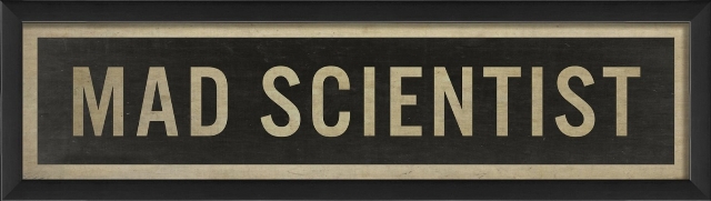 17096 Mad Scientist Sign Ready To Hang Artwork
