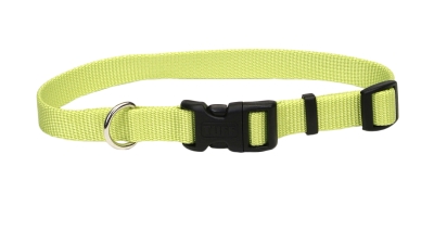 Co66010 Attire Adjustable Collar 0.75 X 20 In. - Lime