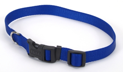 Co69702 1 In. Adjustable Nylon Collar, Blue - 20 In.