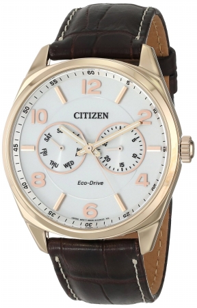 Ao9023-01a Citizen Gold-tone Leather Mens Watch