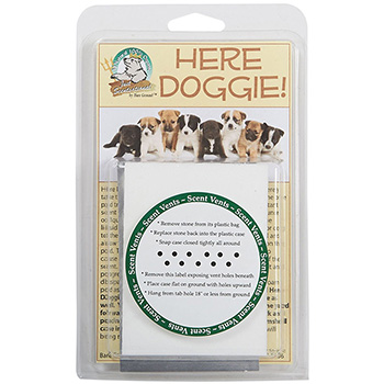 Hd-1 Here Doggie Indoor Housebreaking Stone By Bare Ground