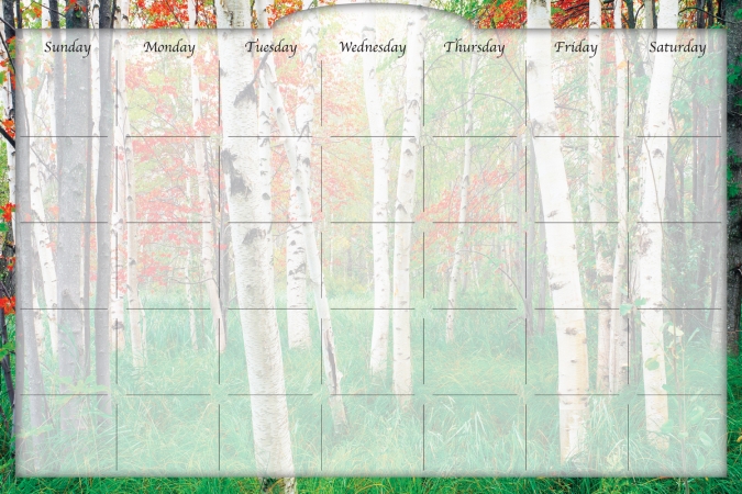 Biggies DC-ANG-36 Dry Erase Stickie Monthly Calendar - Aspen Grove Biggies DC-ANG-36 Dry Erase Stickie Monthly Calendar - Aspen Grove