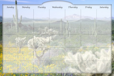 Biggies DC-DTC-36 Dry Erase Stickie Monthly Calendar - Desert Cactus Biggies DC-DTC-36 Dry Erase Stickie Monthly Calendar - Desert Cactus