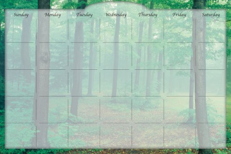 Biggies DC-FTM-36 Dry Erase Stickie Monthly Calendar - Forest Mist Biggies DC-FTM-36 Dry Erase Stickie Monthly Calendar - Forest Mist
