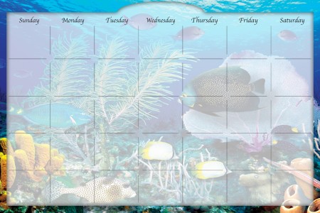 Biggies DC-CLG-48 Dry Erase Stickie Monthly Calendar - Coral Garden Biggies DC-CLG-48 Dry Erase Stickie Monthly Calendar - Coral Garden