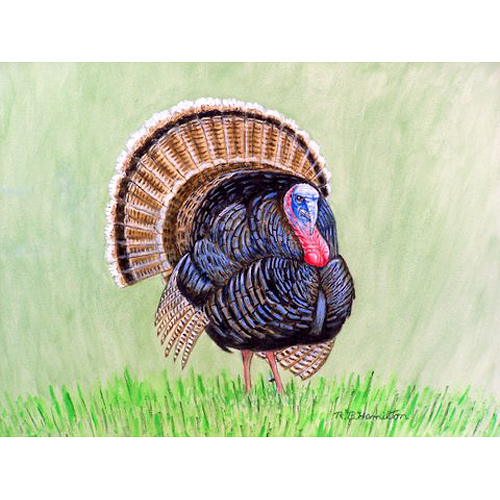 Dm512 Wild Turkey Doormat 18 X 26