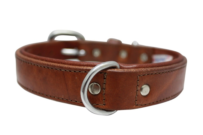 11015 Plain Padded Harness Leather Dog Collar, Brown - 26 x 2 in.