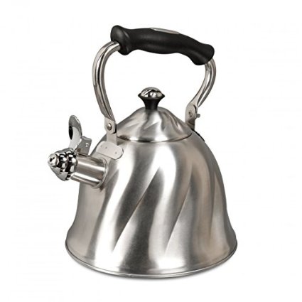 92111.01 Alderton Tea Kettle With Lid - Stainless Steel