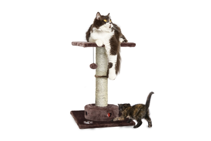 Furhaven 96300 Cat Playground Scratching Post With Cat- Iq Busy Box