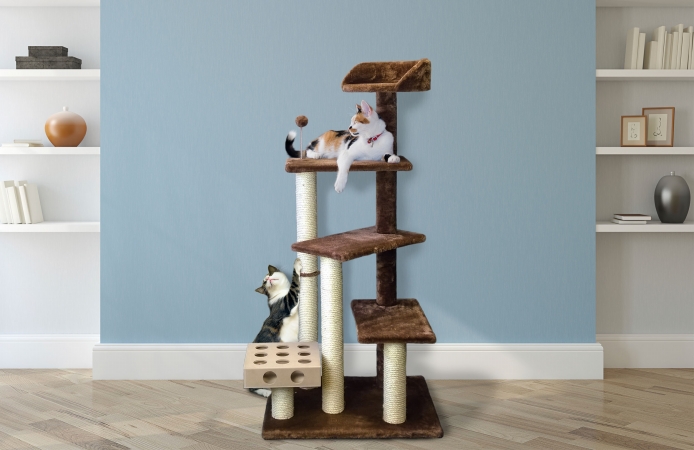 Furhaven 96700 Cat Play Stairs With Cat- Iq Busy Box