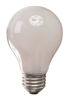 10562 Incandescent Lamp A19, 25 Watt, 120 Volts - Soft White