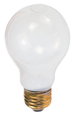 18060 Incandescent Lamp - Soft White, 120 Volts