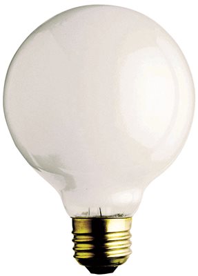 A3923 Satco Incandescent Decorative Lamp G16 0.5, 40 Watt, Clear