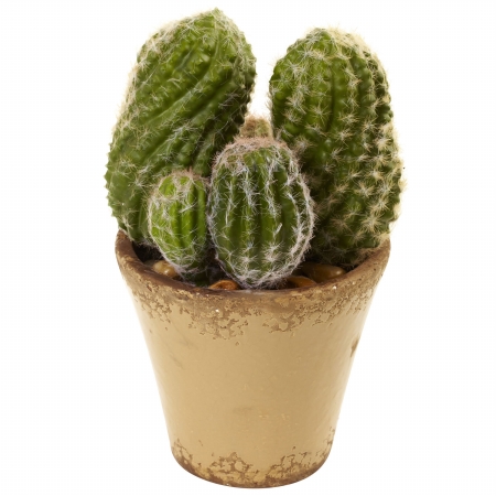 4844 Cactus Garden With Ceramic Planter