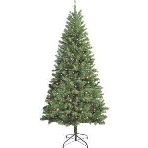 Forest Inc 10771 7 Ft. Douglas Fir Christmas Tree, Clear